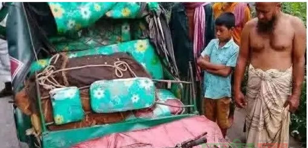 শিয়ালকোল ট্রাকে সিএনজির ধাক্কা, দুইজন নিহত 